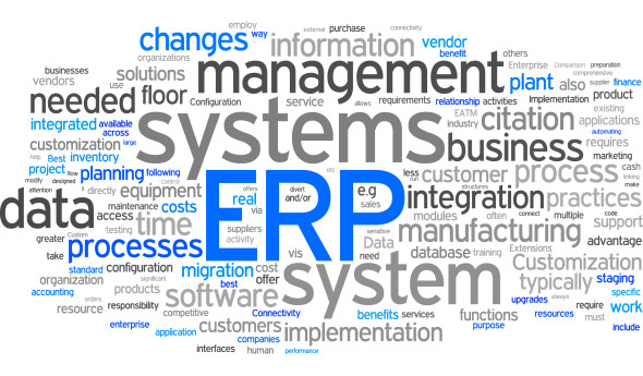 Read more about the article Komponenty systemów ERP