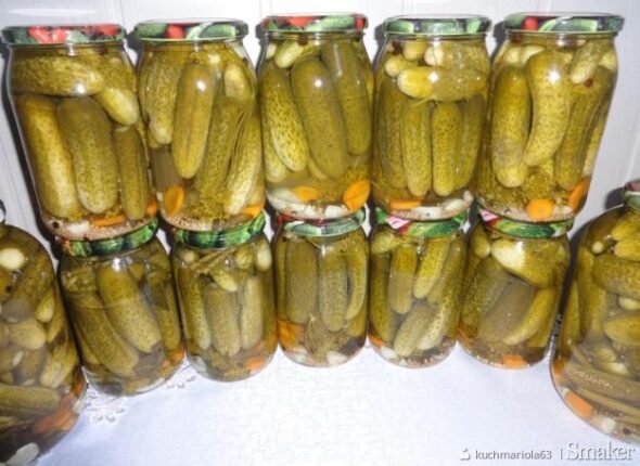 Read more about the article Opis wymagań z użyciem Gherkin – czyli duuużo korniszonów…